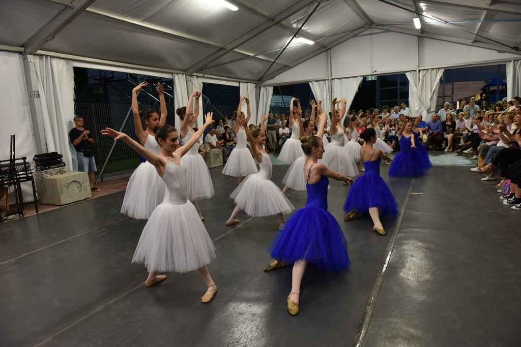 Arabesque Danse