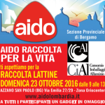 Raccolta Lattine 2016