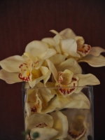 2011121100018.jpg