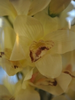 2011121100034.jpg